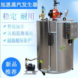 旭恩能源蒸汽鍋爐 圖 家用蒸氣發生器 蒸氣發生器高清圖片 高清大圖