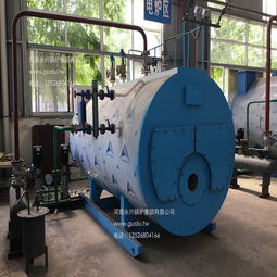 【wns1-1.0臥式燃?xì)庹羝仩t屠宰場(chǎng)水池加熱用蒸汽鍋爐】-