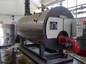 燃煤蒸汽鍋爐與燃?xì)庹羝l(fā)生器和燃?xì)庹羝仩t三者有什么區(qū)別